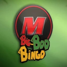 Big-Bod Bingo slot icon by FBM, available at Oranje Palace Casino